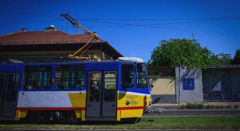 Csak ezt az iratot kell felmutatnod, és egész nap ingyen utazhatsz Szegeden