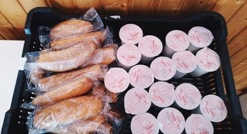 Hargita megye: gond nélkül indult a tej-kifli program az új tanévben
