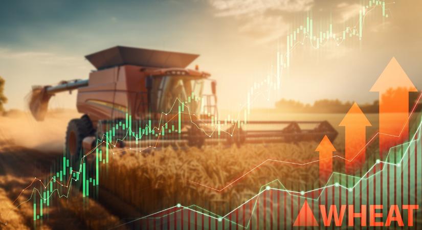 Nézőpont kérdése: 2025 a bőség éve