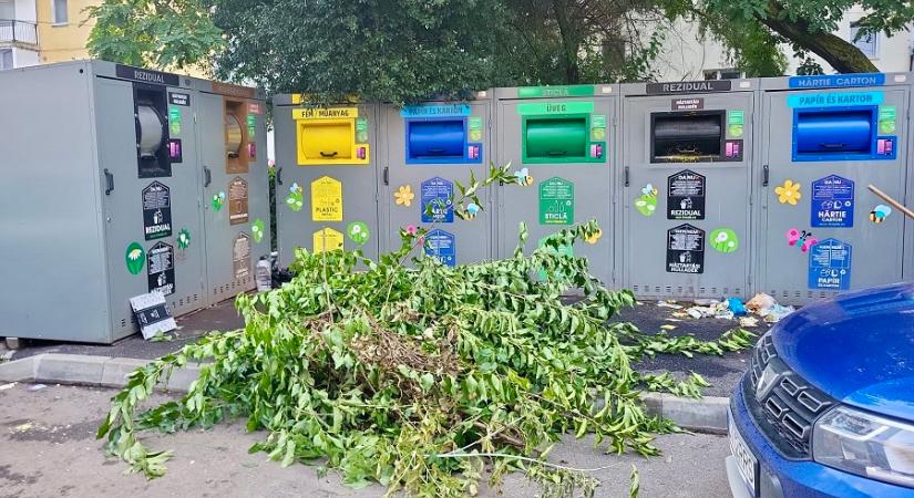 Őszi falevelek és ágak: komposzt vidéken, elszállítás Sepsiszentgyörgyön