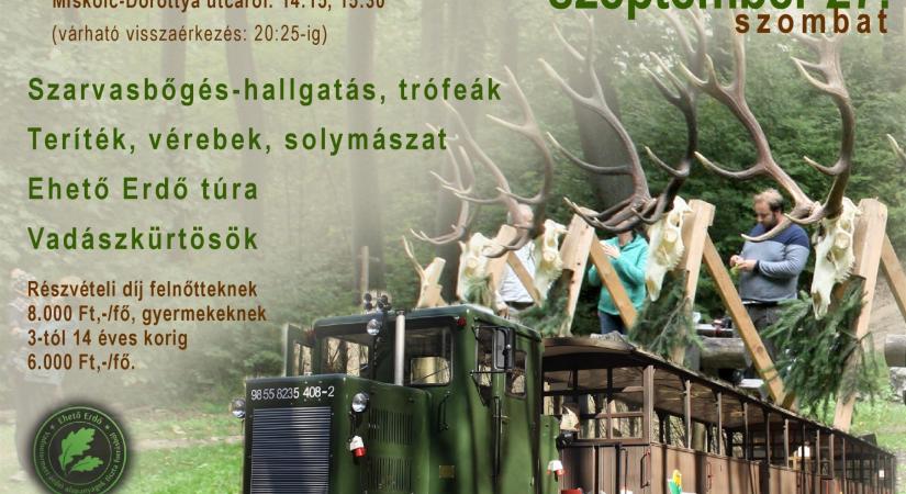 Indul a Vadászkürt Expressz!