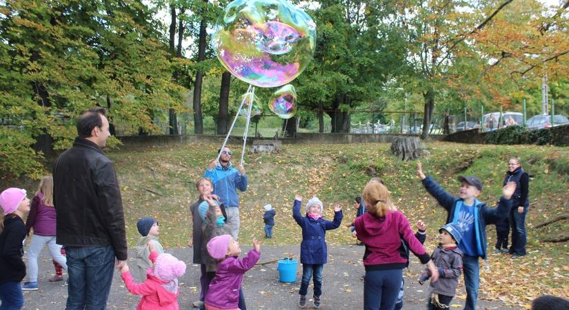 Gesztenye Liget Fesztivál 2025 Pécs