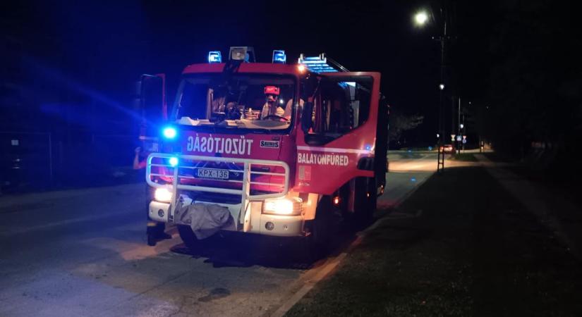 Vonatgázolás, kutyaharapás és tomboló vadak