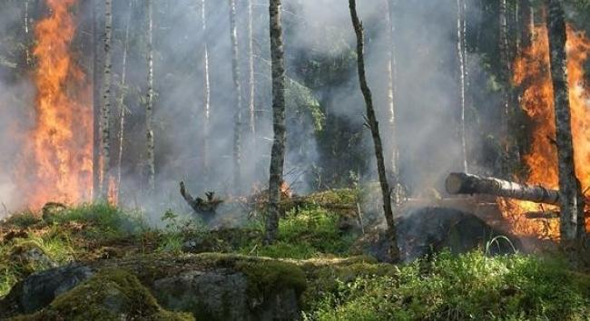 Eső után enyhítés: hat területen véget ér a tűzgyújtási tilalom