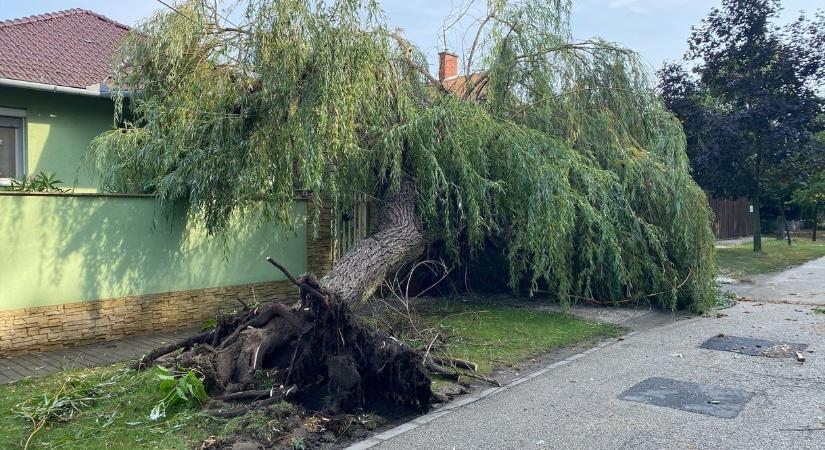 Viharkár: az idei szezonban 30 százalékkal többet fizettek a biztosítók, mint tavaly