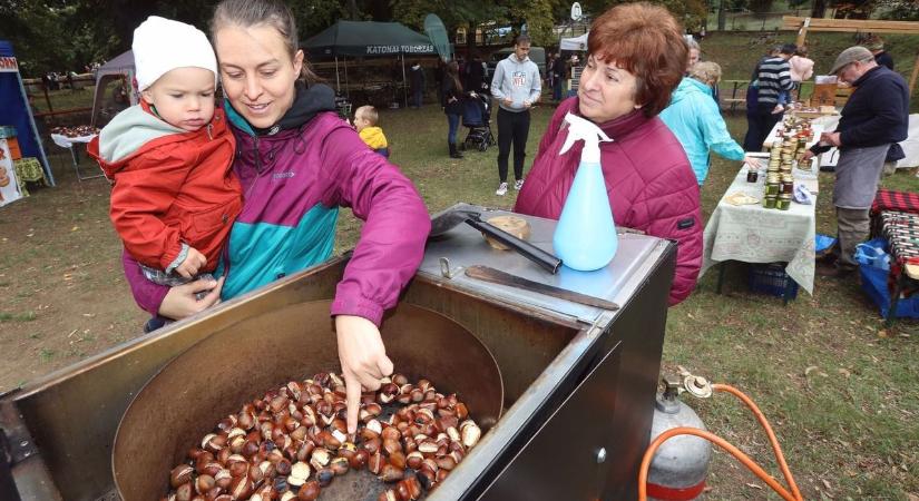 Nyakunkon a Gesztenye Fesztivál, mutatjuk a programot