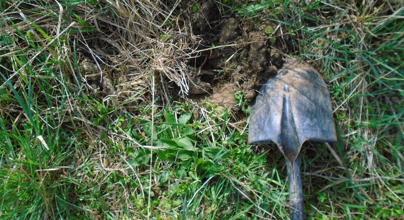 No-dig mozgalom vs. klasszikus kertészek – ki nyeri az őszi csatát?