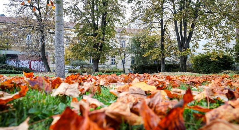A nyár és az ősz egyszerre csap le, az időjárás különös játékot űz velünk