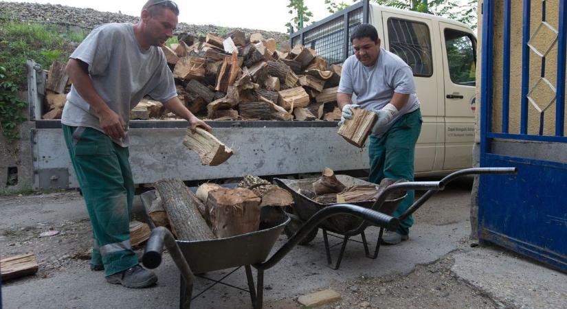 Most még nem fázol, de gondolnod kell rá: ennyibe kerül most a télire való fa Baranyában