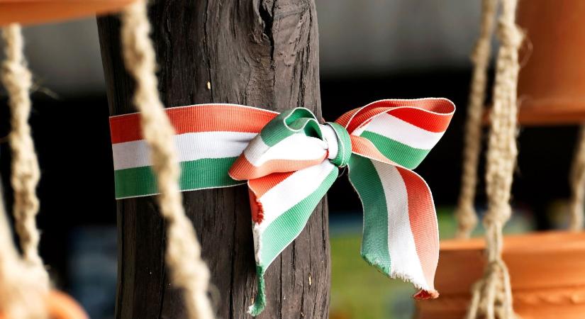 Egy külföldi sokkolta a magyarokat, felfedte mit jelent valójában a legtöbbet használt magyar szó