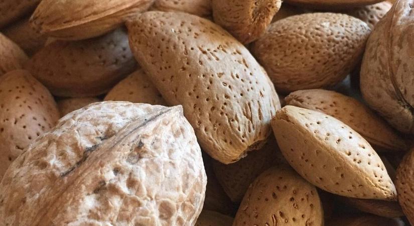 Hosszú távú dió- és mandulatárolás: hűtő vagy fagyasztó a jobb?