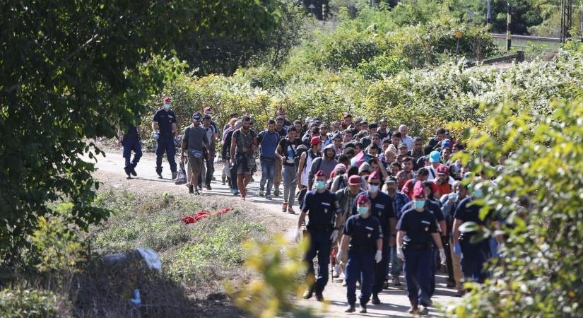 Tolna vármegyében is éreztette hatását a tíz éve tartó migrációs válság
