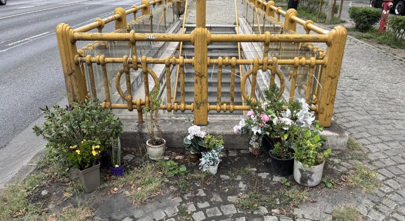 Terézváros állandó Navalnij-emlékhely létrehozását javasolja