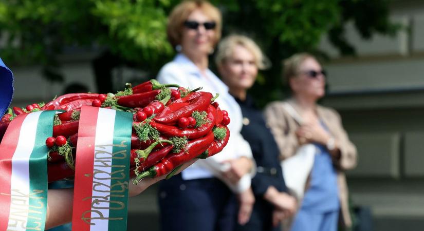 Szent-Györgyi Albert szavai ma is irányt mutatnak a Szegedi Tudományegyetem számára