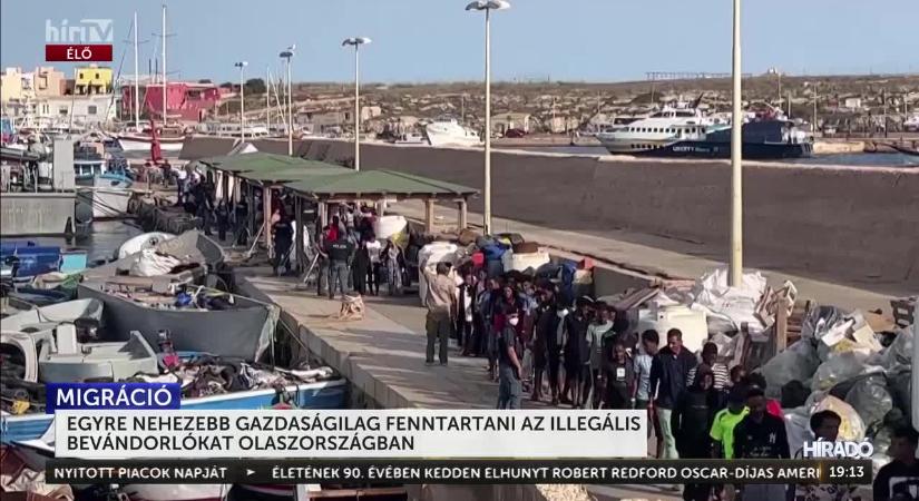 Migránsgyerekek ostromolják Olaszországot: a polgármesterek kétségbeesettek  videó