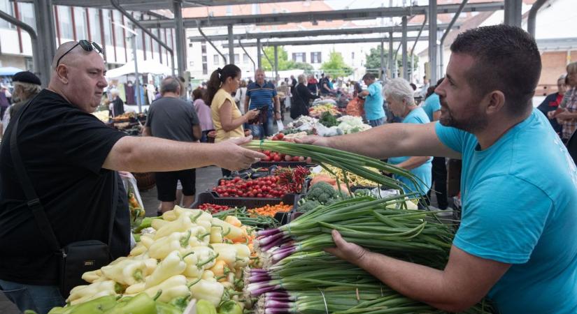Őszi dömpingjét éli a zalaegerszegi piac – minden kapható és ilyen árakon (galéria)