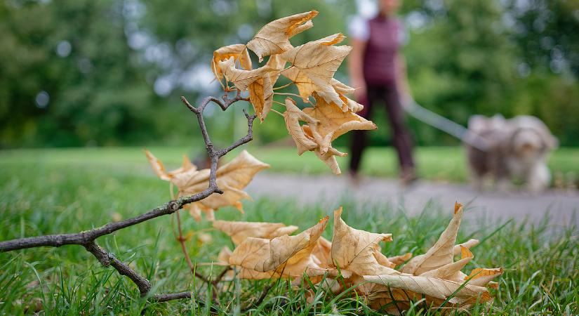 Nyaralós idő szeptember közepén, jövő hétig esőnek nyoma sincs