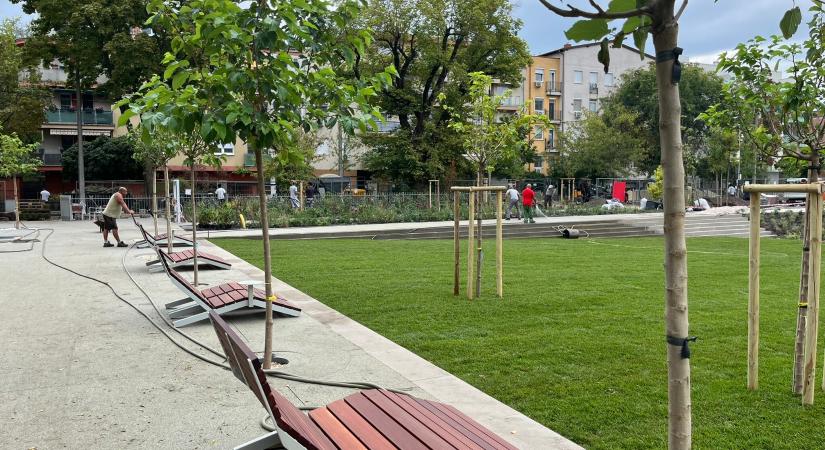 Már zöld a fővárosi Angyalföld új közparkja