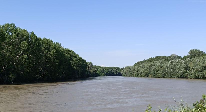 A Maros nem csak vizet, hanem különleges állatokat is hoz a hegyekből az Alföldre