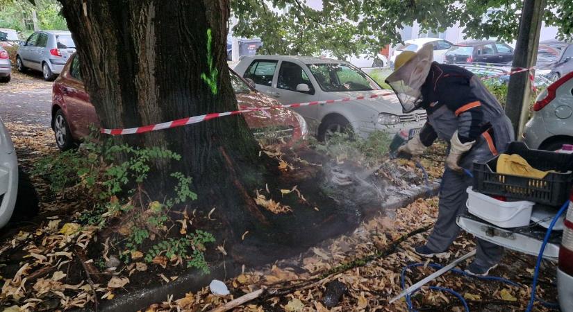 Újabb veszélyforrás tör be: a Kötél időben figyelmeztet