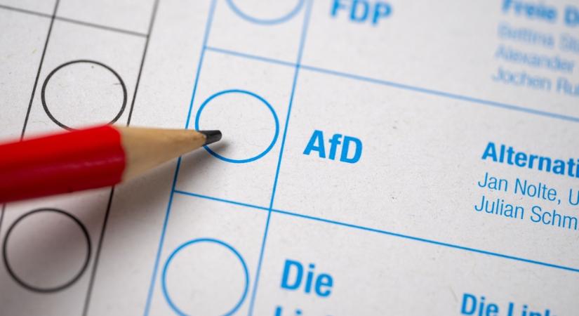 Toronymagasan első lett az AfD egy helyi választáson