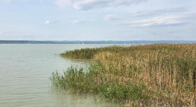 Horgászat és nádasvédelem a Balatonnál: új kikötőfejlesztés Keszthelyen