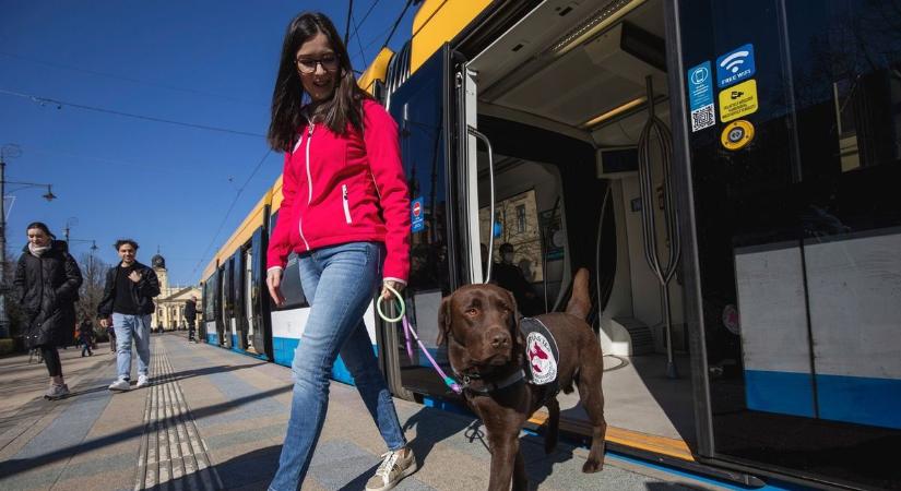 Óriási lehetőséget biztosít a DKV az Autómentes Napon