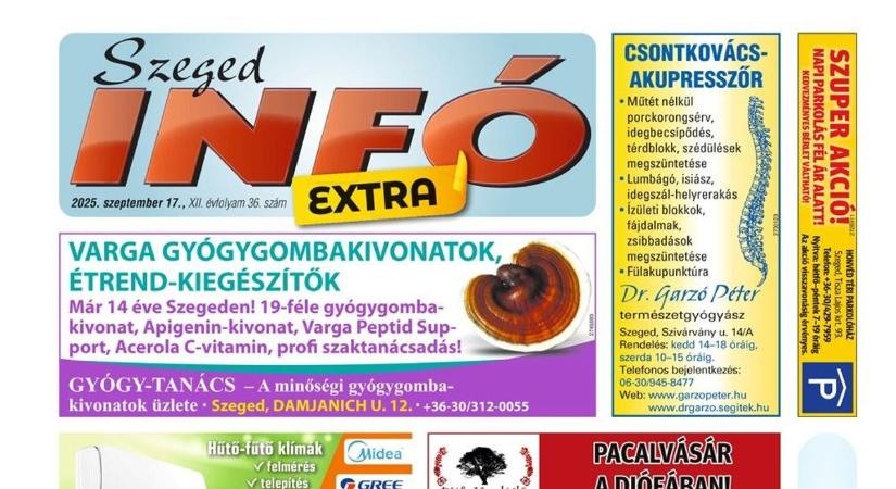 Felújítást tervez? Orvosi szolgáltatást keres? Kíváncsi az állásajánlatokra? Kikapcsolódásra vágyik?