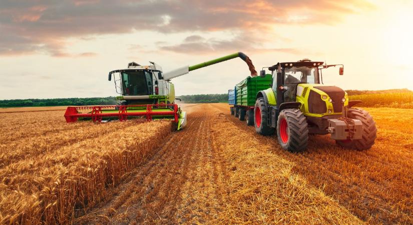 Import kukorica borította fel a gabonapiacot – mérséklődik a búza ára