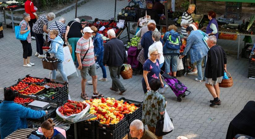 Barátságtalan árak vártak ránk a piacon, de lecsót most megéri készíteni (galéria)
