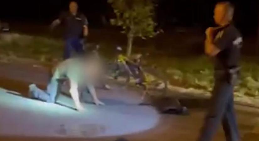 Részegen lövöldözött, késsel fenyegetett tiniket a gödi „Rambo”