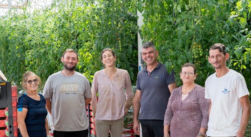 Drága az üvegház, de nem így: egy elérhető alternatíva