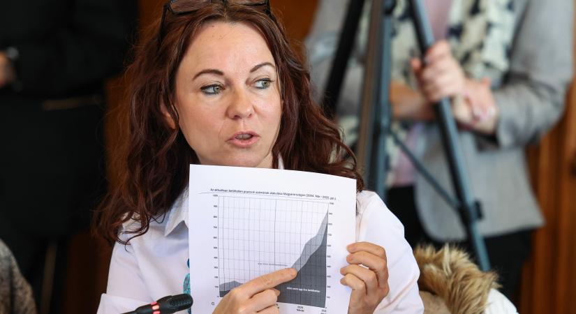 Felmutatta az összevert Orosz Bernadett fotóját, megvonhatják a fizetését Szabó Tímeának