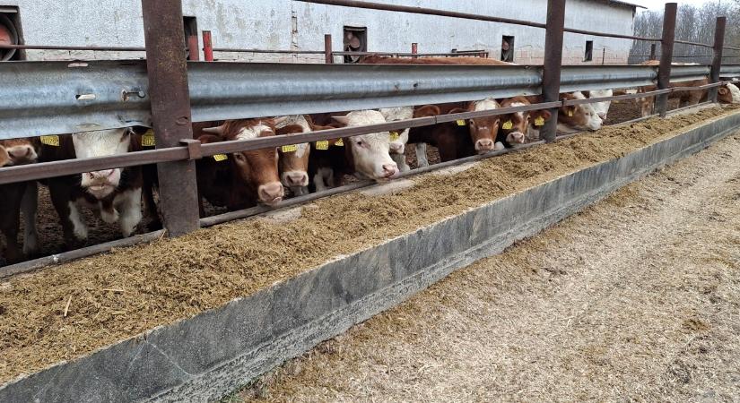 UBM nagybevásárlás: magyar kézbe került az Agrifirm hazai leányvállalata