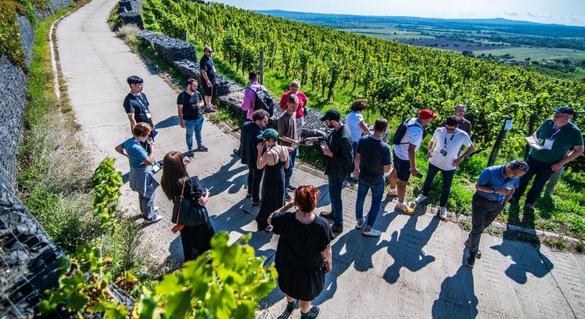 Hatalmas siker volt a BOR2025 Hungarian Wine Summit