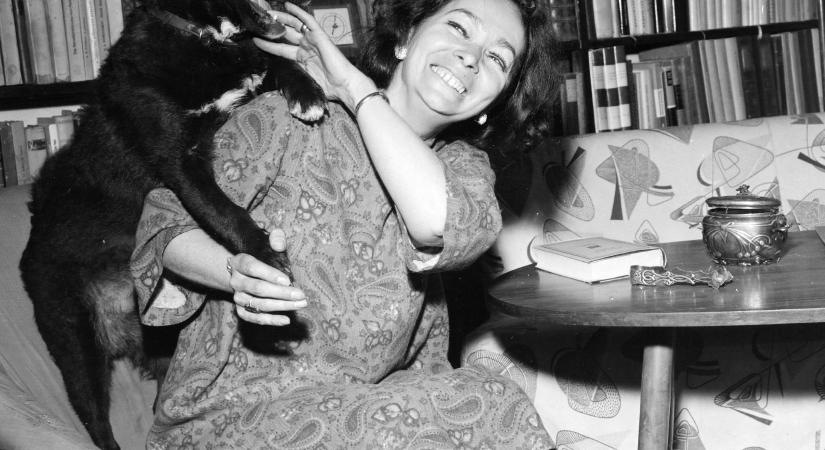 Itt a lista! Eldőlt, kik idén a Szabó Magda-díj várományosai