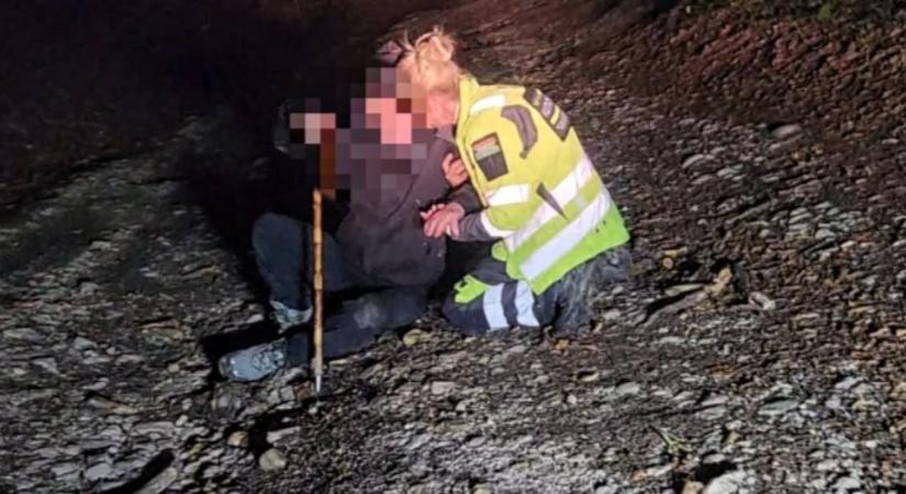 Élve megtalálták a Pilisben eltűnt túrázót, a 87 éves férfi a földön feküdt, amikor rátaláltak