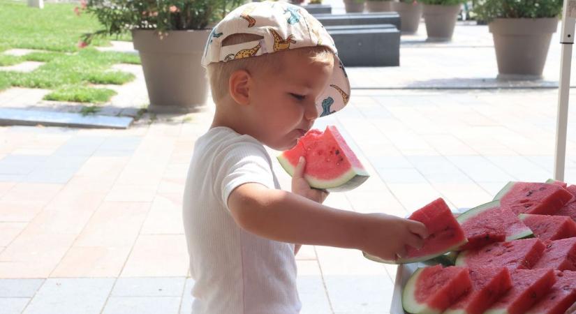 Hihetetlen: még mindig kapható a mézédes magyar dinnye Pécsen – ilyen olcsón adják most!