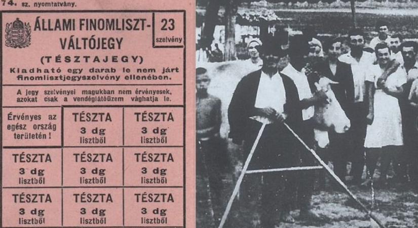 Átalakuló hatalmi viszonyok, a megszállás következményei és az új rendszer kialakulásának első lépései
