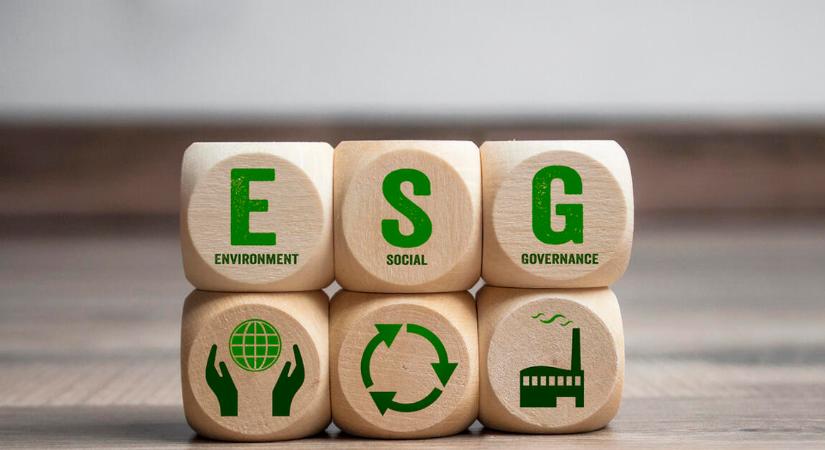 Több, mint egy jelentés: így működik az ESG egy nagyvállalatnál