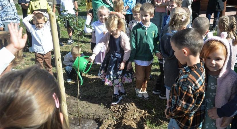 A jövő nemzedékének fáját új parkban ültették el a Mátraalján