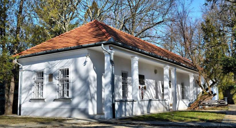 Megmenekült a száz éves fa - maga Gárdonyi Géza is büszke lenne csemetéjére