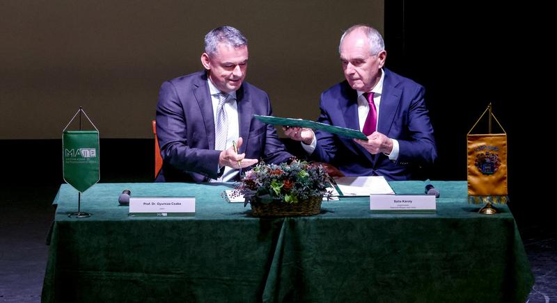 Partnerségben Kaposvárért