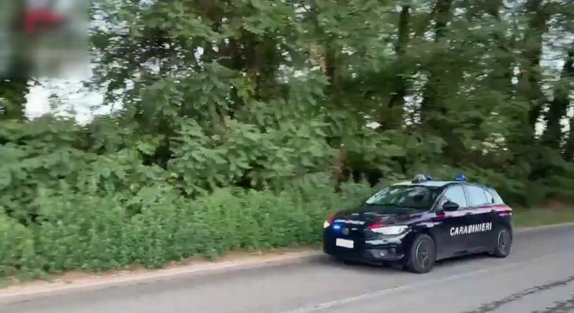 Bangladesi férfiakat tartóztattak le nemi erőszak miatt Olaszországban  videó