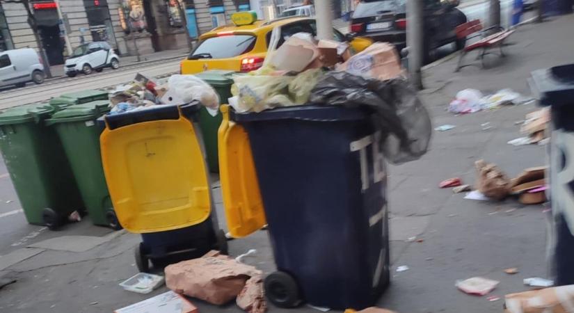 Terézvárosi drogosok mocskában: a gyógyíthatatlan beteg Mónika törött bordával, sérült vesével takarít
