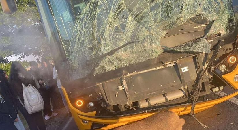 Iskolásokkal teli busz ütközött az üzekedő bikával