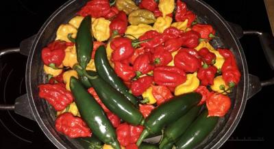 Mini Chili Fesztivál, 2025. szeptember 21.