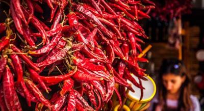 Kalocsai Paprika és Gasztrofesztivál, 2025. szeptember 19-20.