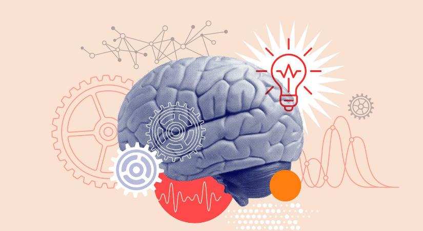 Mivel tölti a szabadidejét? Ezek a hobbik a magas intelligenciáról árulkodnak