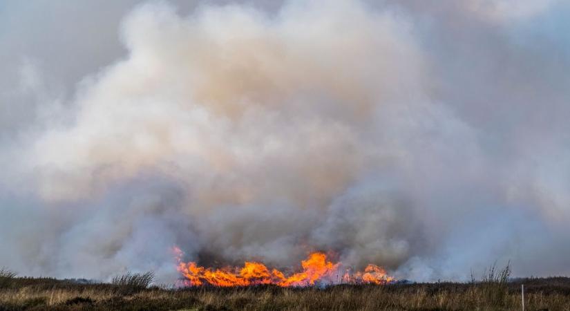 Hatalmas lángok az M4-esnél: ezért kellett száguldaniuk a tűzoltóknak